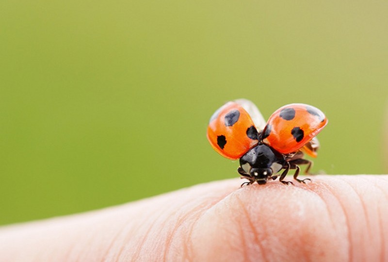 Детство, детство, ты куда ушло...