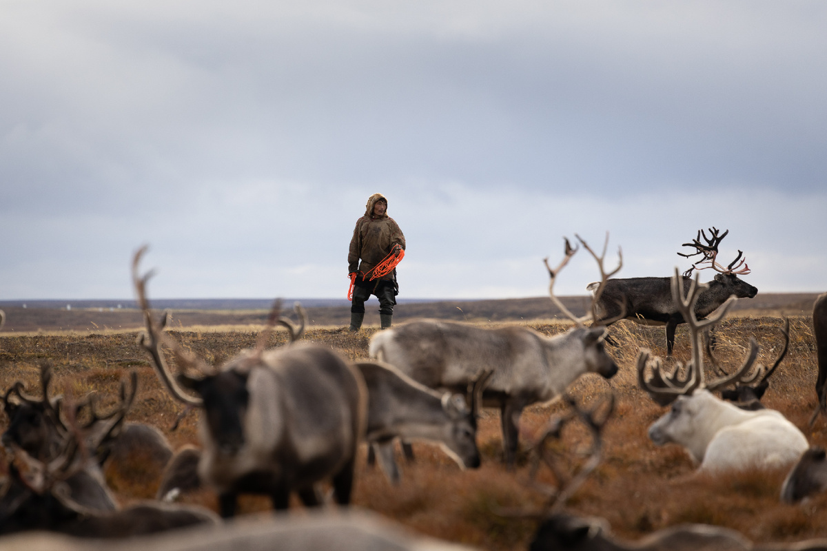 Фото: Воронов Фёдор/АНО "Ямал-Медиа"