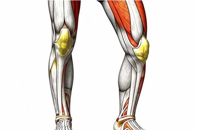 хрустят суставы