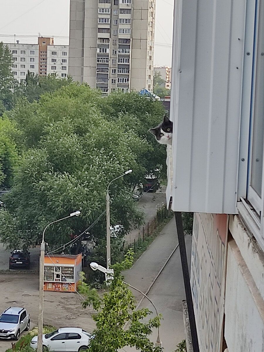 Котик в ах@е