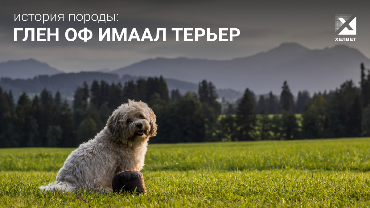 Источник https://pxhere.com