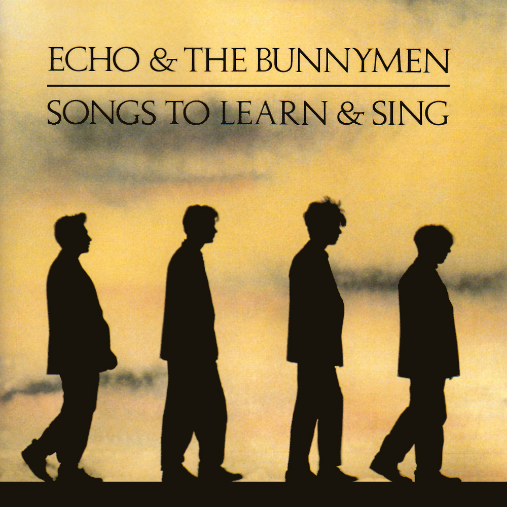 Echo and the bunnymen