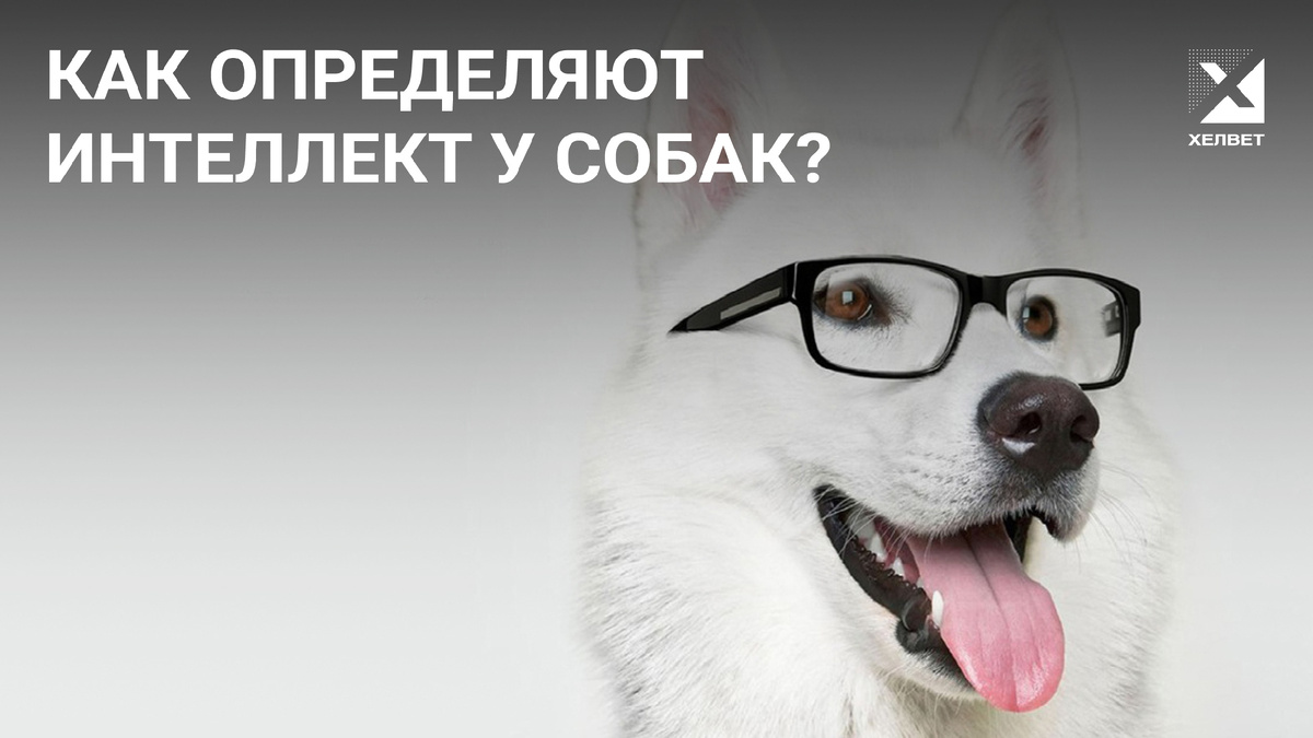 Изображение от goodfon.ru