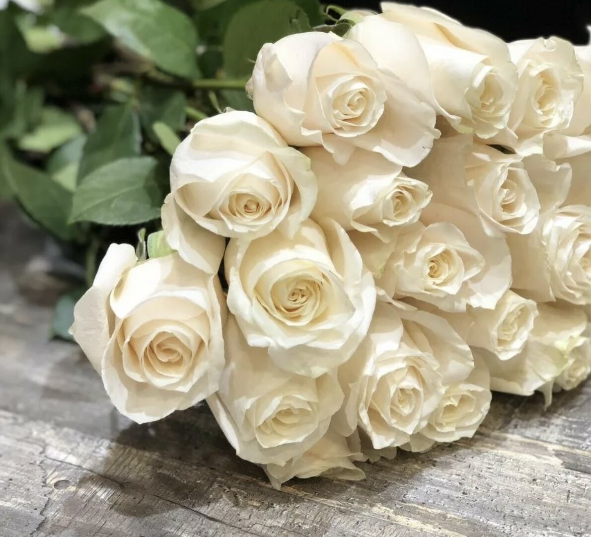 Фотография взята из открытого источника