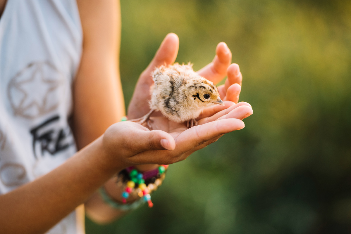 Они гораздо более хрупкие нежели мы.