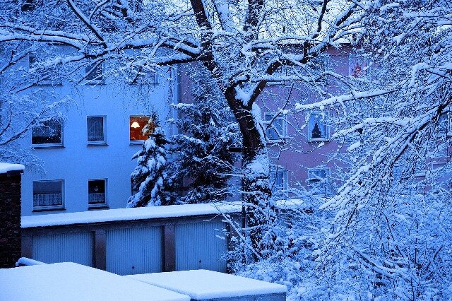 Фото: pixabay.com