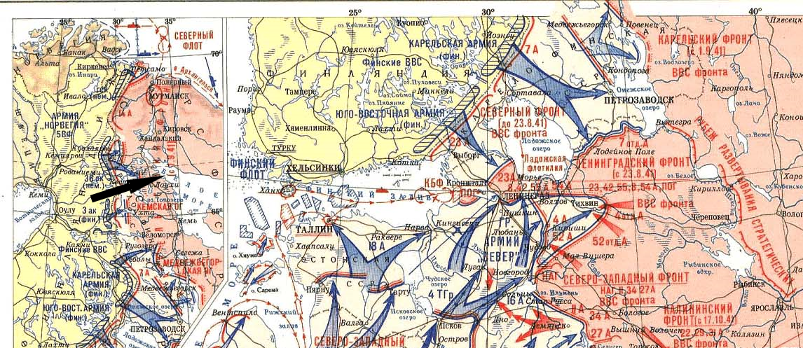 (Фото взято из открытых источников).