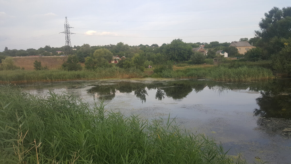 фото из личного архива автора канала ВОЛШЕБНЫЕ ИСТОРИИ