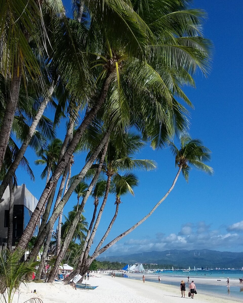 Безусловно, White beach острова Boracay - один из самых лучших пляжей, что я видел в жизни. Длинный и широкий, щедро украшенный кокосовыми пальмами и мелким белым песком. Но... я опять не купался!-1-2