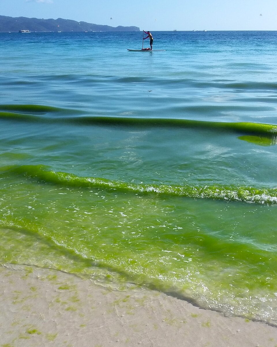 Безусловно, White beach острова Boracay - один из самых лучших пляжей, что я видел в жизни. Длинный и широкий, щедро украшенный кокосовыми пальмами и мелким белым песком. Но... я опять не купался!-2-2