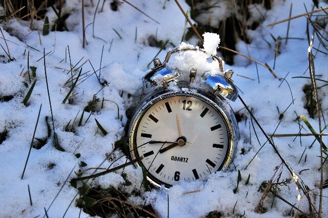 Фото: pixabay.com