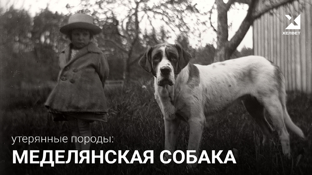 Изображение от zendiar.com