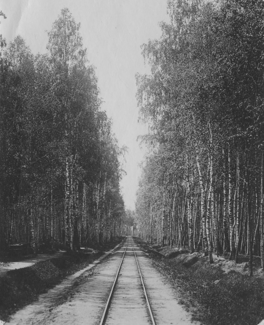 Фото: Мария Петровна Землянова, 1912 год