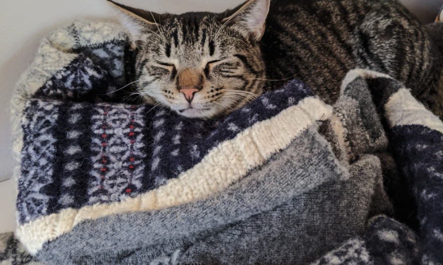 Старые свитеры не выбрасывают сразу. Из них получаются самые тёплые пледы