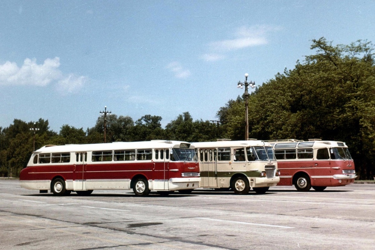 ▲ Городские Ikarus 66 и Ikarus 620 и междугородный Ikarus 55 на совместной рекламной фотосессии в 1965 году 