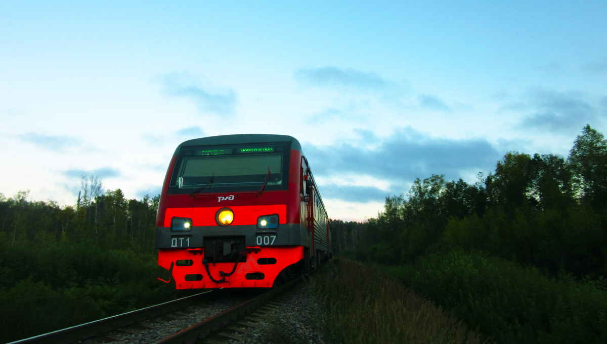 ДТ-1 в Новгородской области. Все фото автора, если не указано иное.