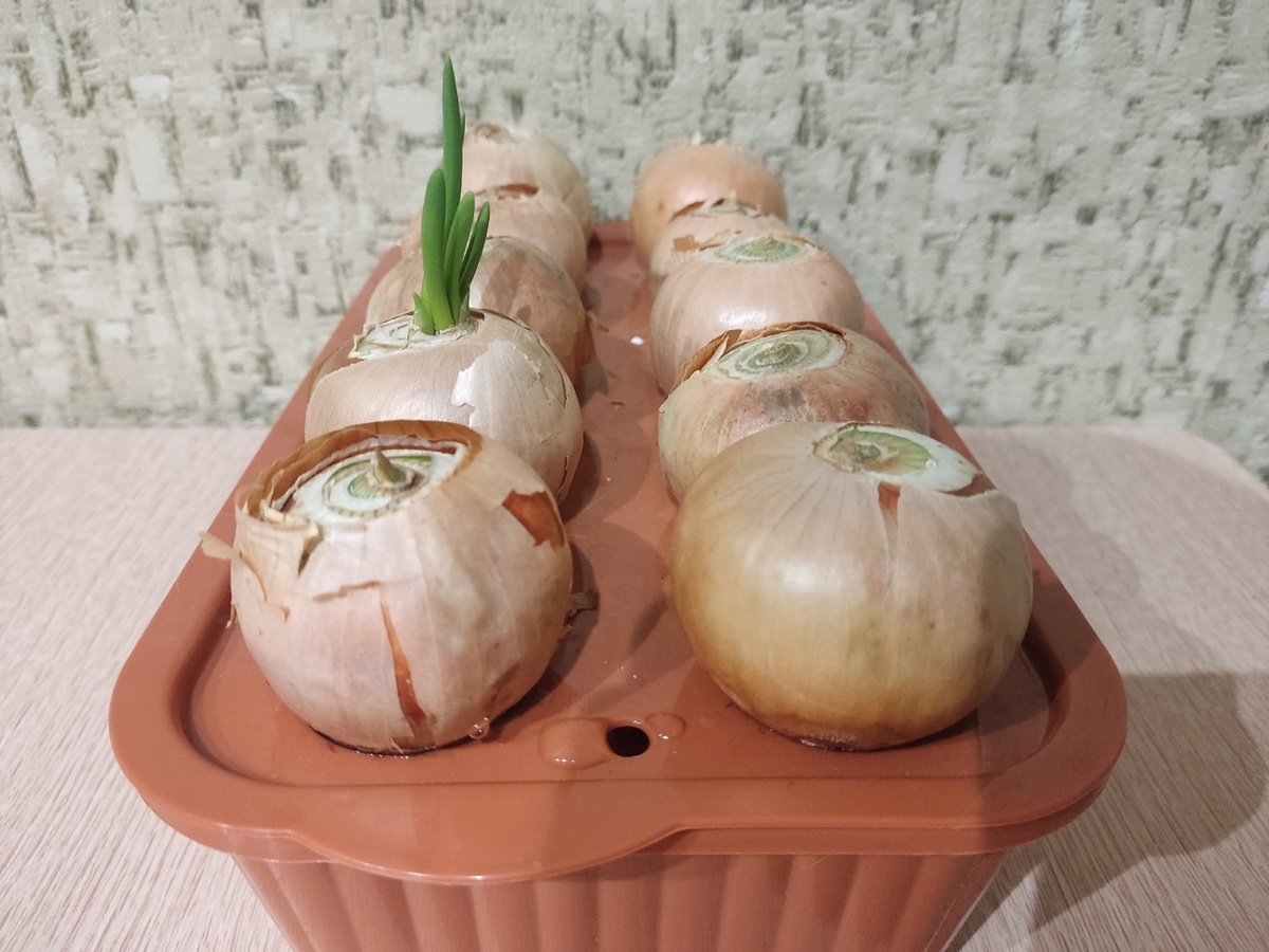 Каких только садовых приблуд не придумано!