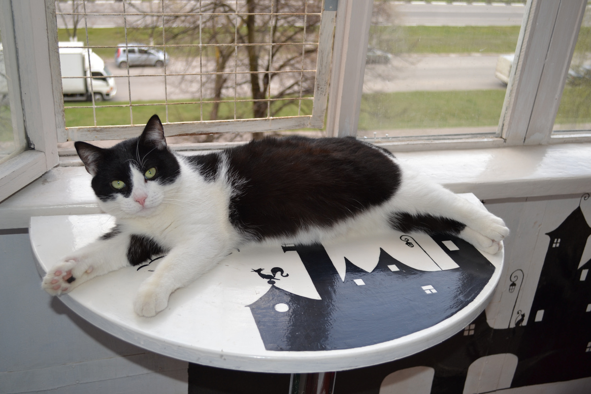 Арсений в день весенний