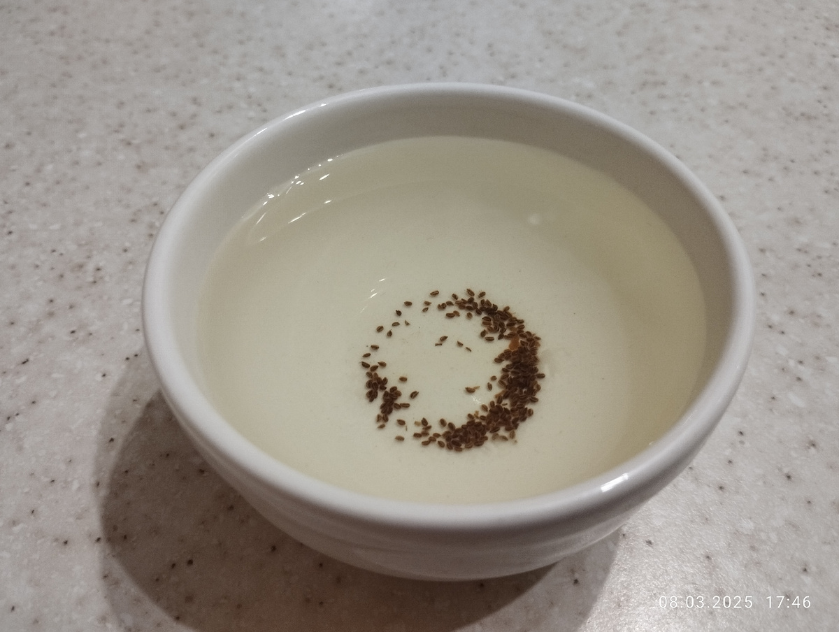 Замачивание семян сельдерея