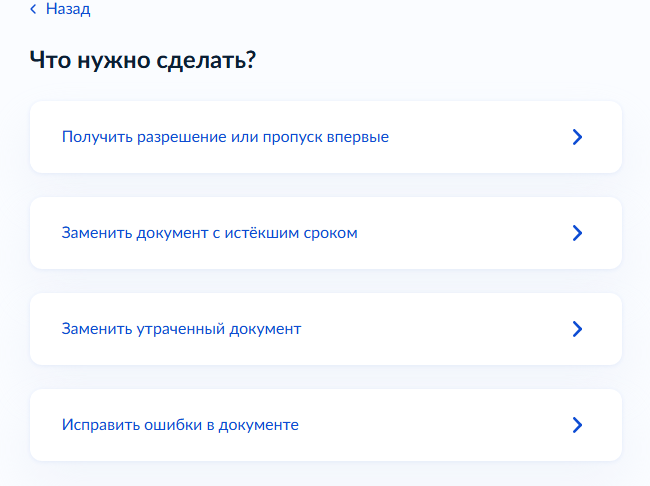 Что нужно сделать? Получить впервые или заменить пропуск?