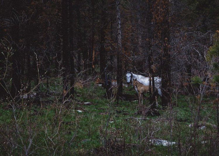 Фото: Александр Моргунов