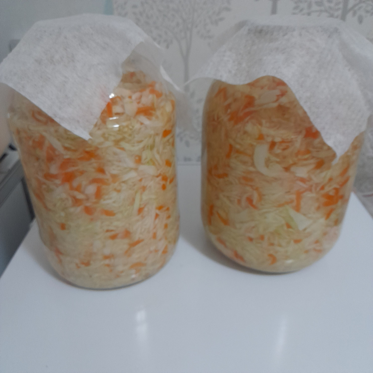 Фото из личного архива  автора 