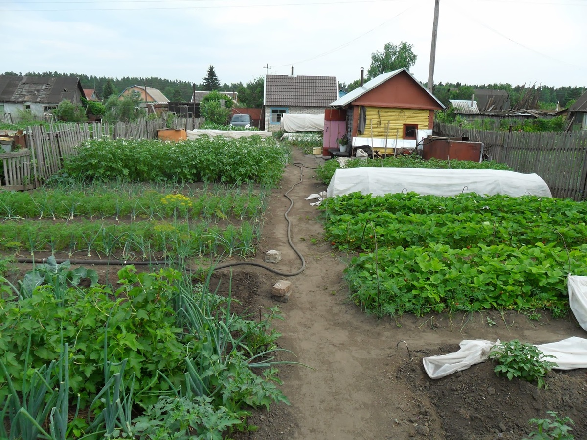 Взято из открытых источников.