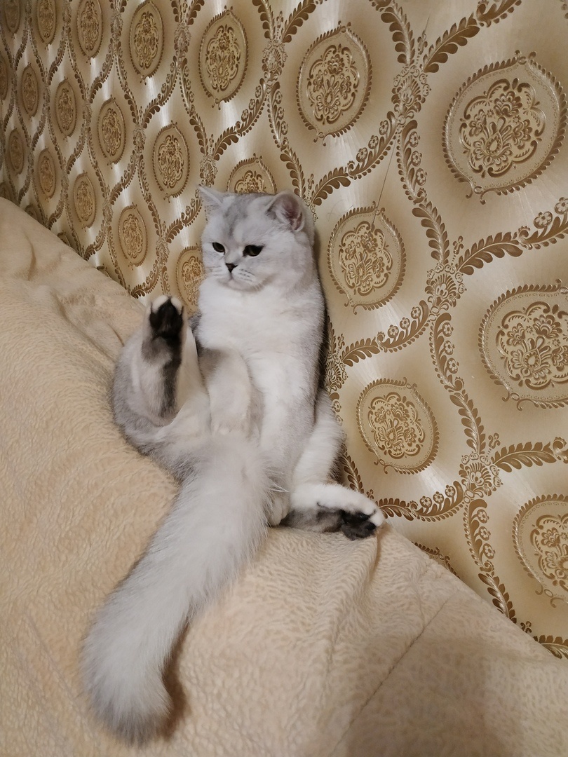 ФОТО ИЗ ЛИЧНОГО АРХИВА