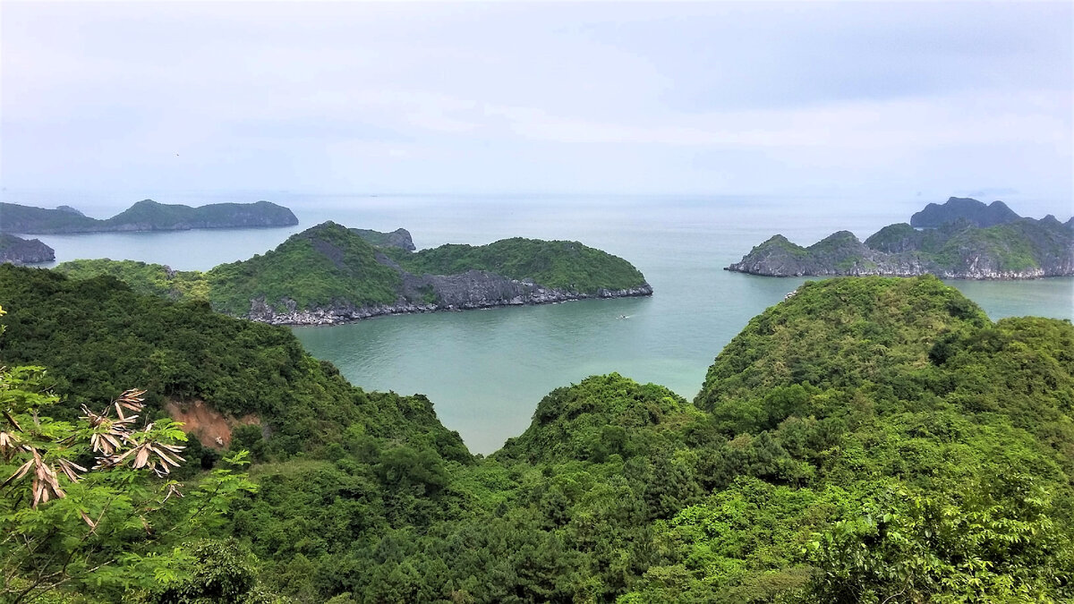 Вид с форта Кэннон и его окрестностей на бухты и острова