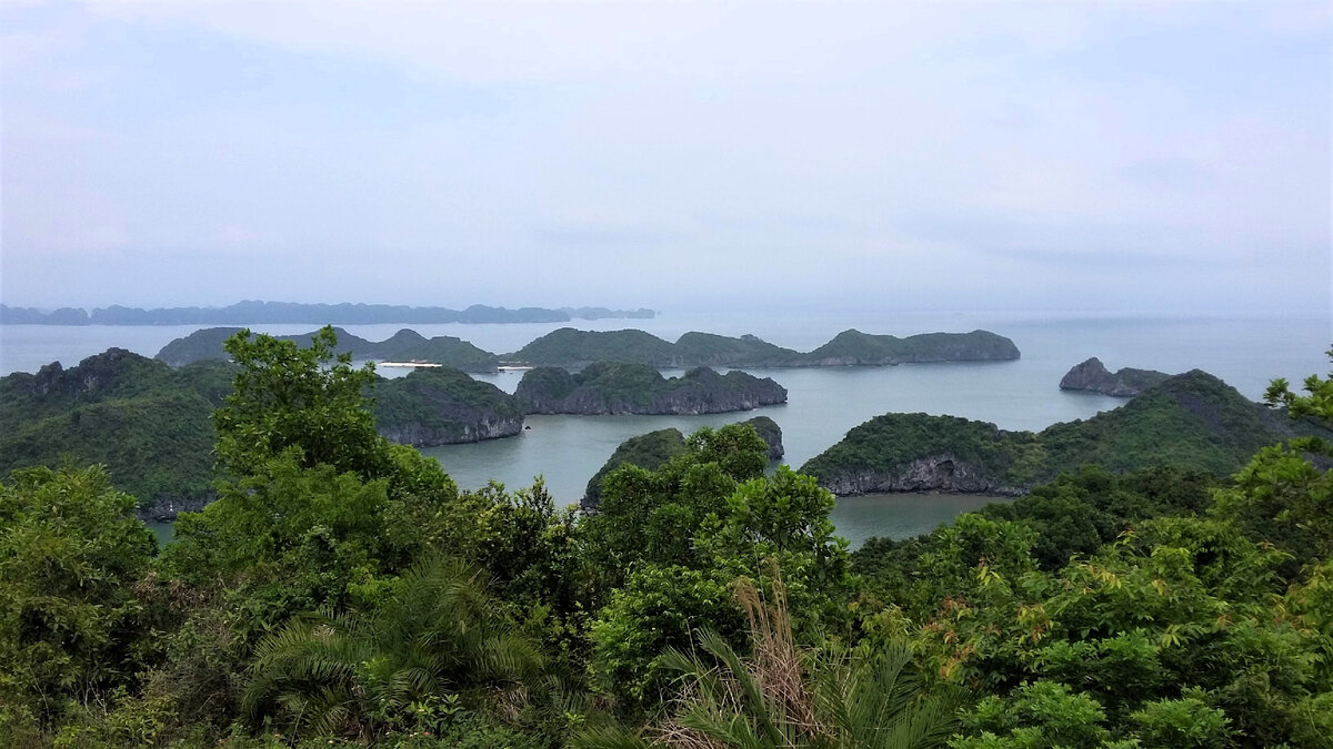 Вид с форта Кэннон и его окрестностей на бухты и острова