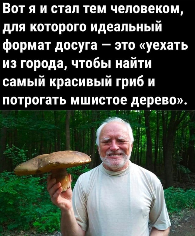 Фото с сервиса Яндекс-картинки.