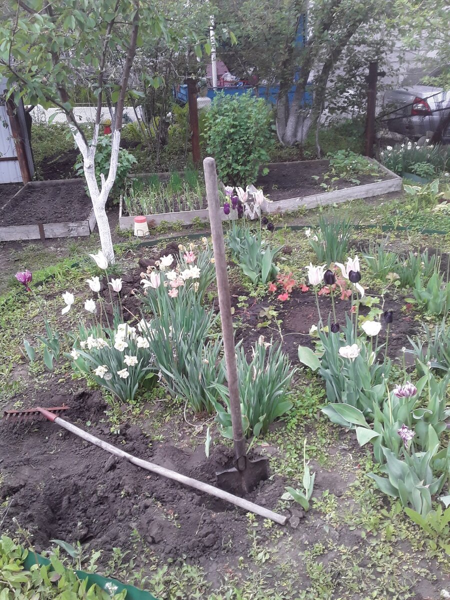 2022 год, начало реконструкции круглой клумбы