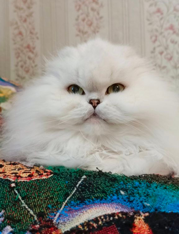 Фото из личного архива