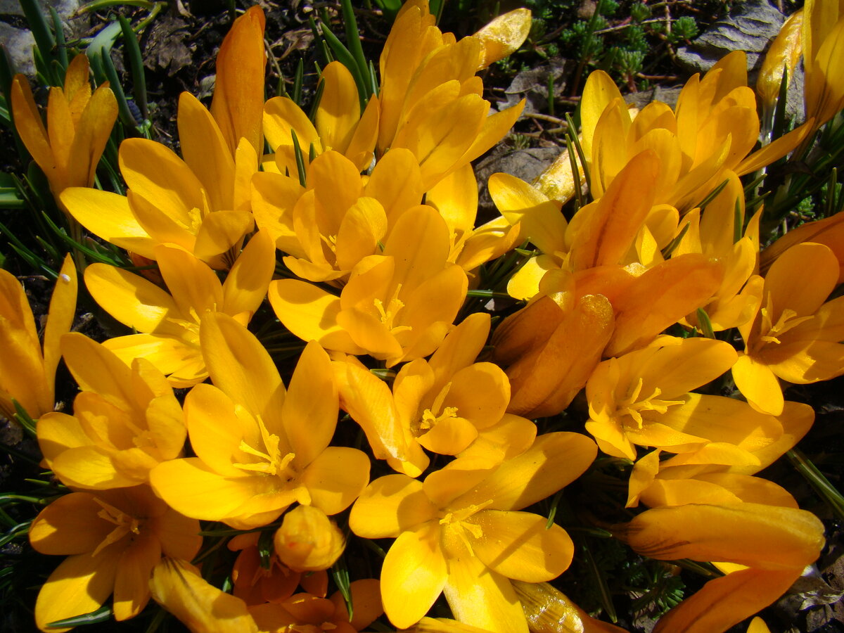 Фото автора статьи.