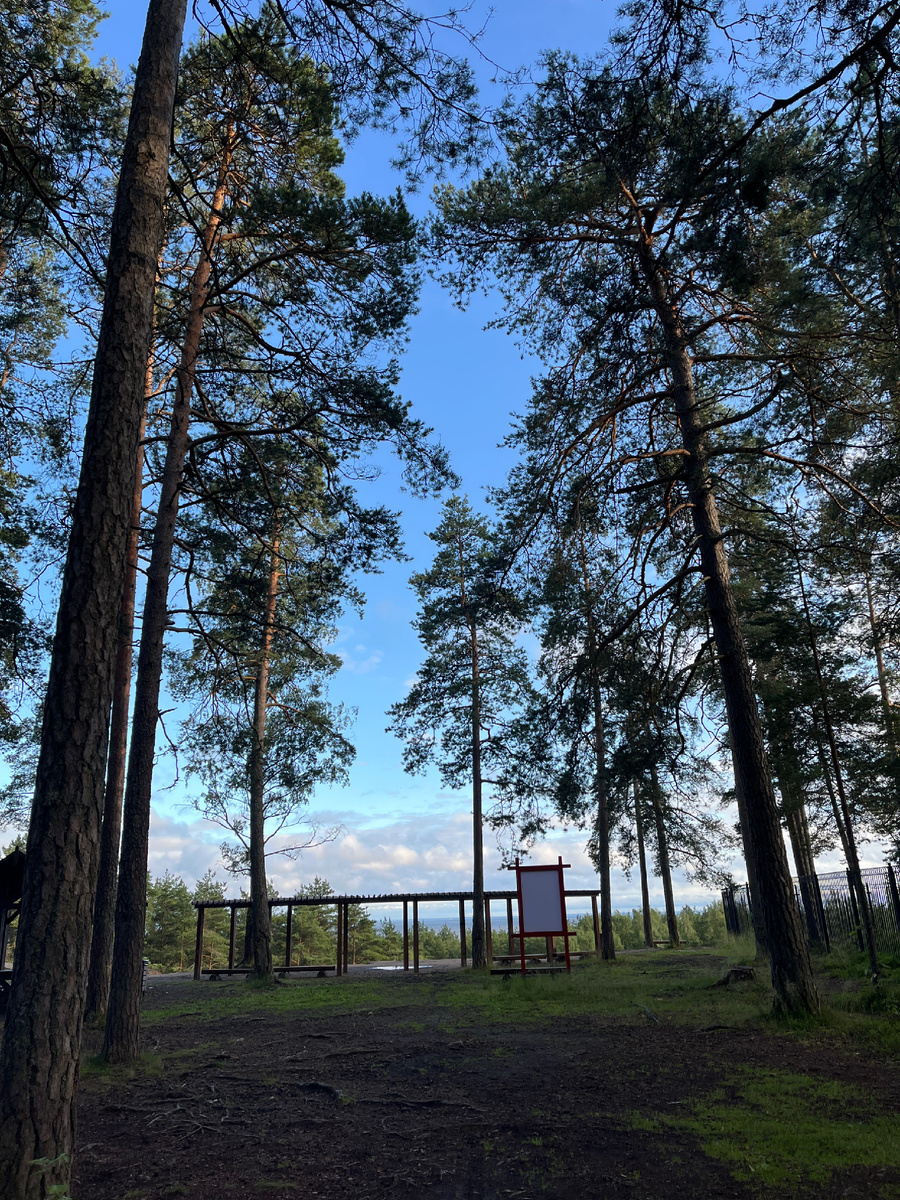 На краю есть несколько скамеек и навес