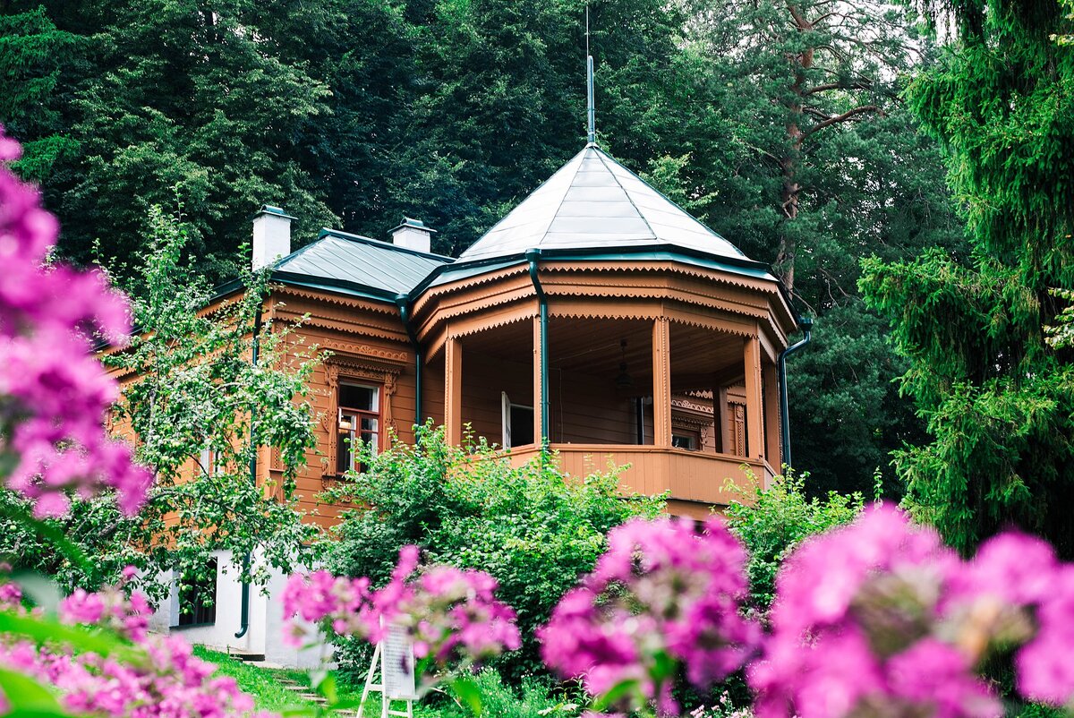 Источник: wikipedia.org Автор: Варвара Каминская CC BY-SA 4.0 