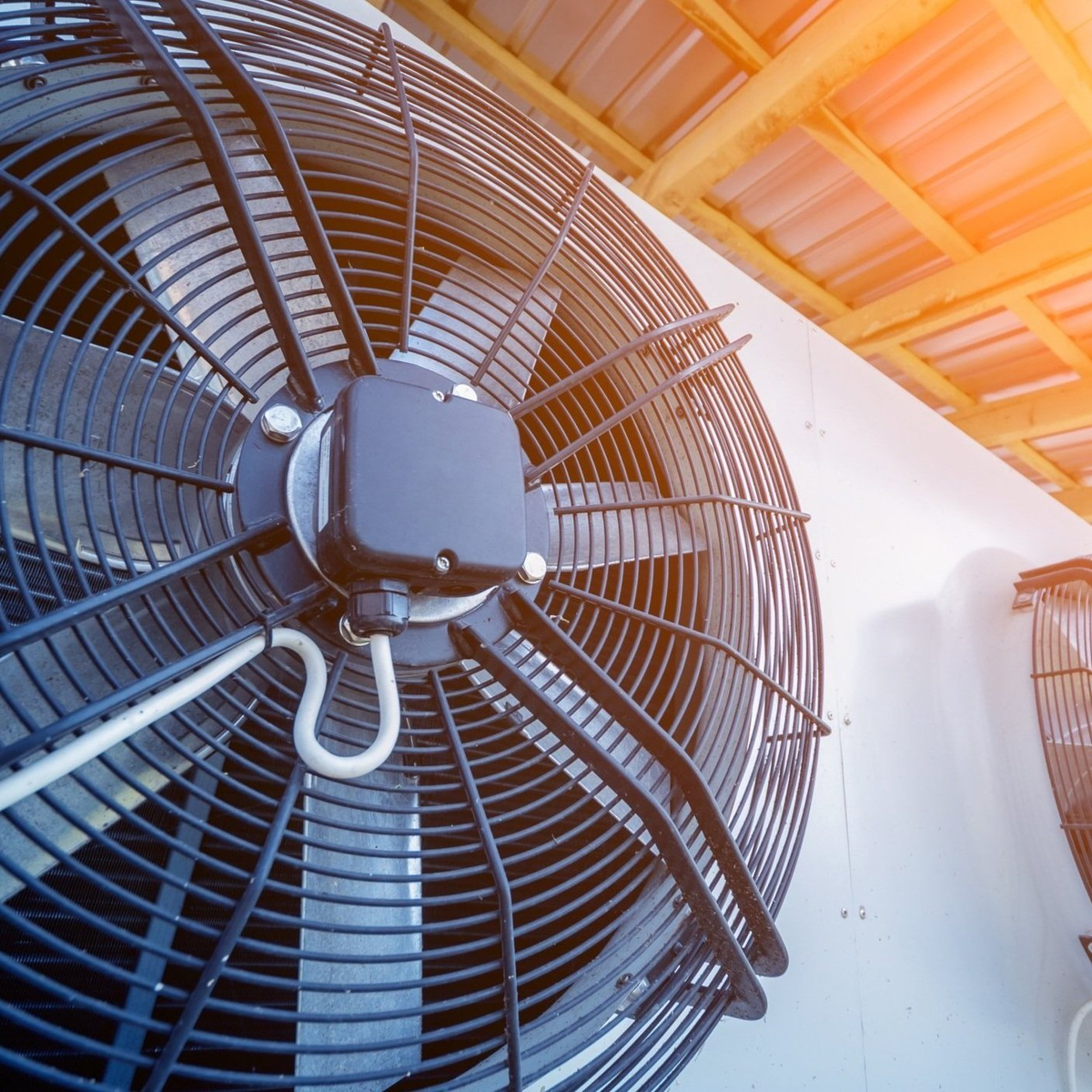 Добавьте описание