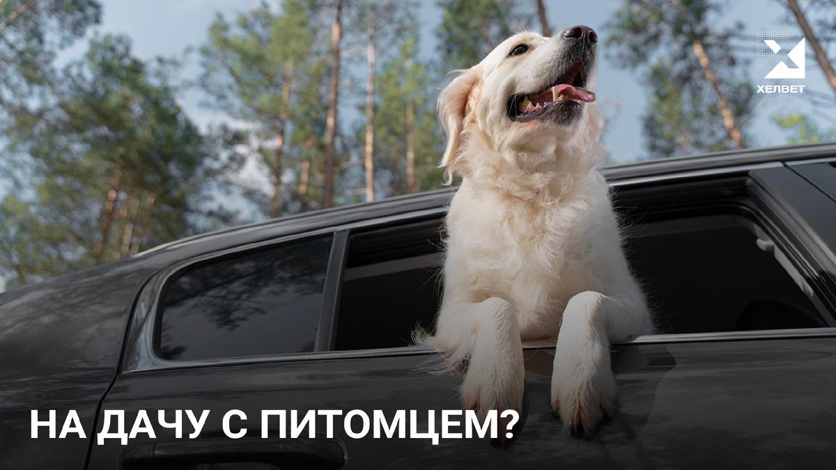 Изображение от freepik