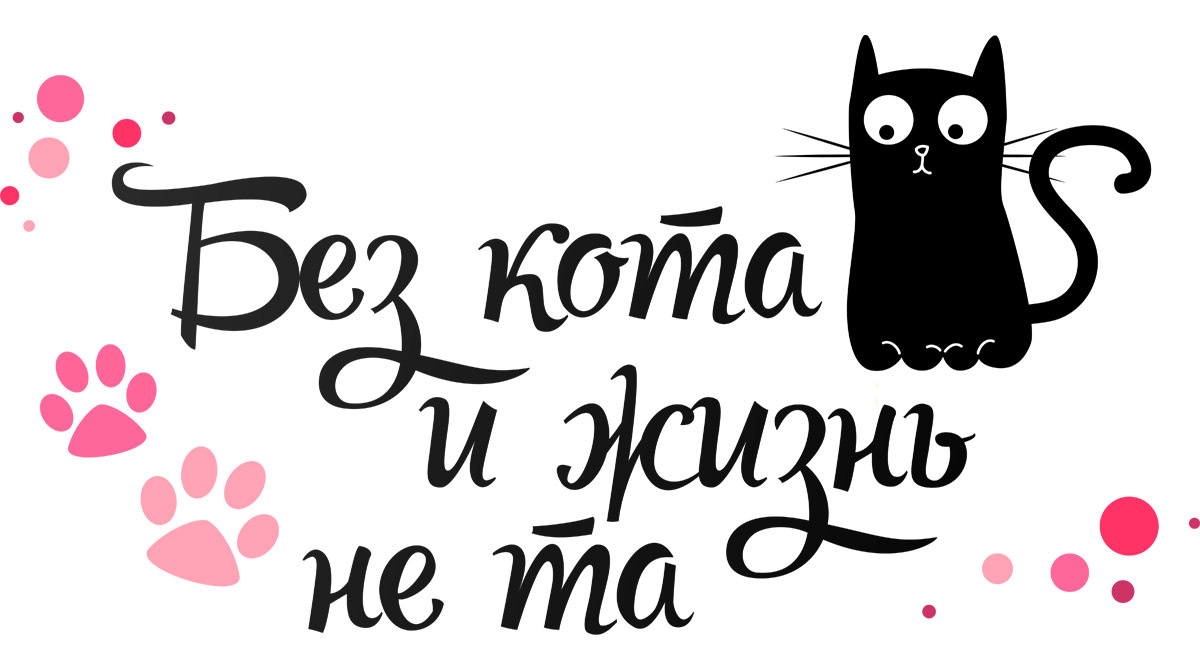 https://rutube.ru/video/88b09623d72494084ffa12cd5db28be3/?playlist=119255