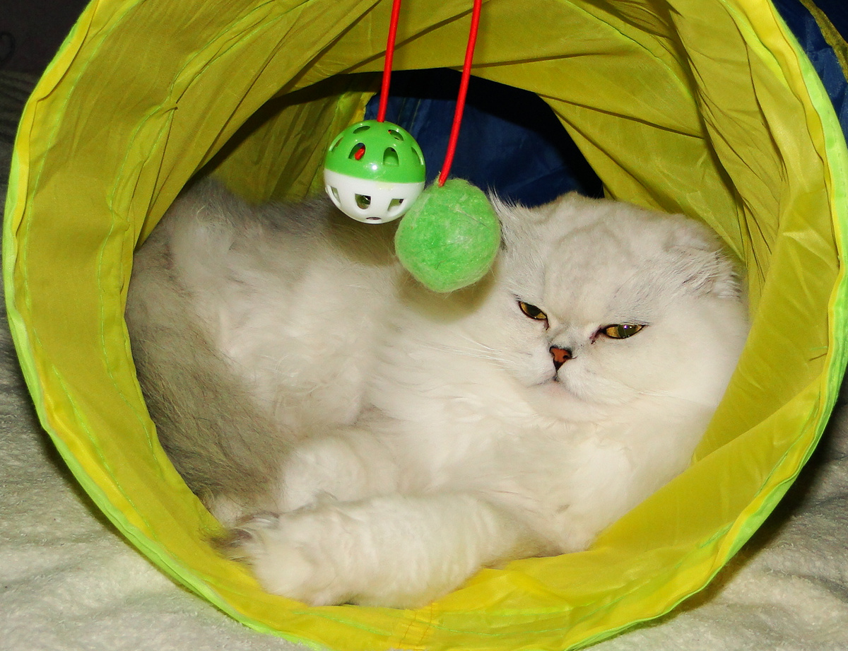 Фото из личного архива