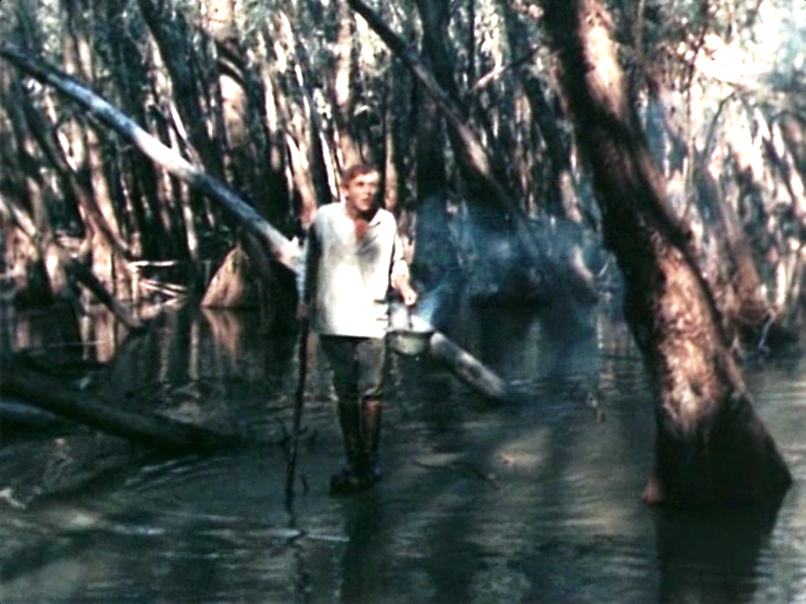 Кругом болото.