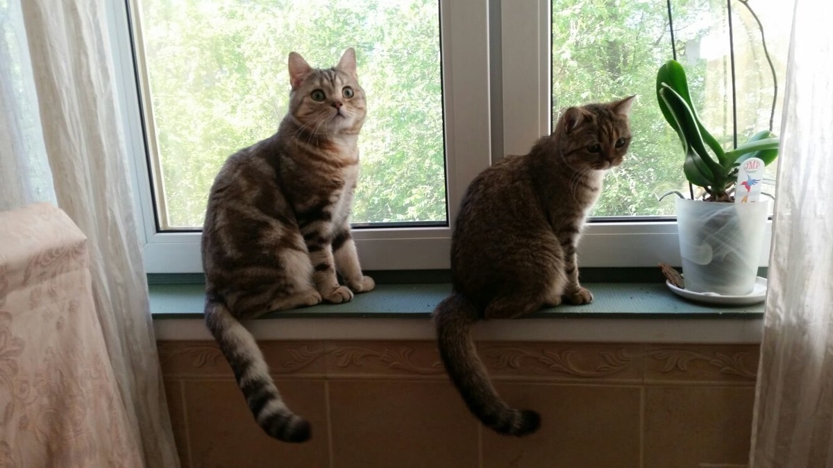 ФОТО ИЗ ЛИЧНОГО АРХИВА