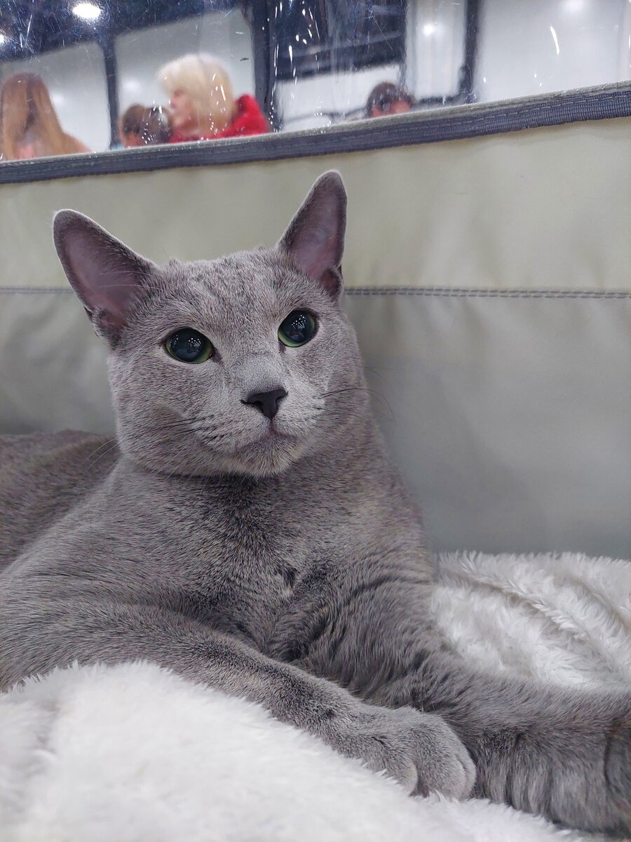 Вот он наш жених Iney Nastails*RU