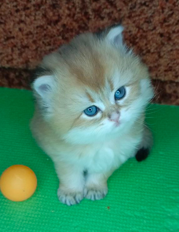 Фото из личного архива