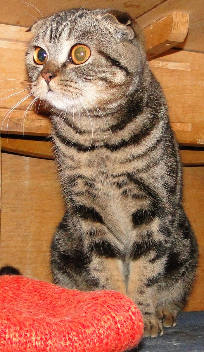 Фото из личного архива