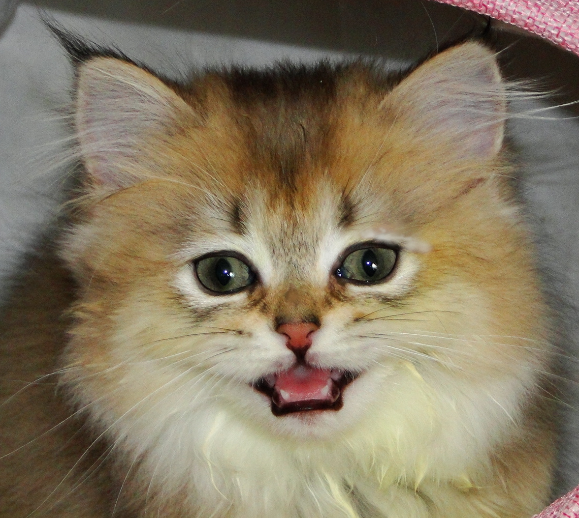 ФОТО ИЗ ЛИЧНОГО АРХИВА