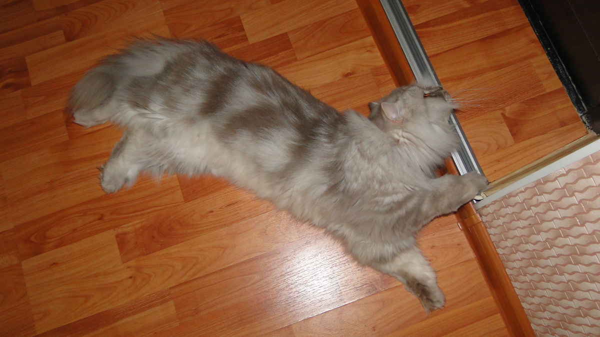 Фото из личного архива