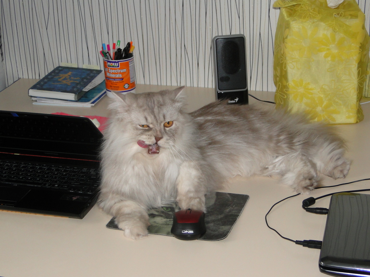 Фото из личного архива