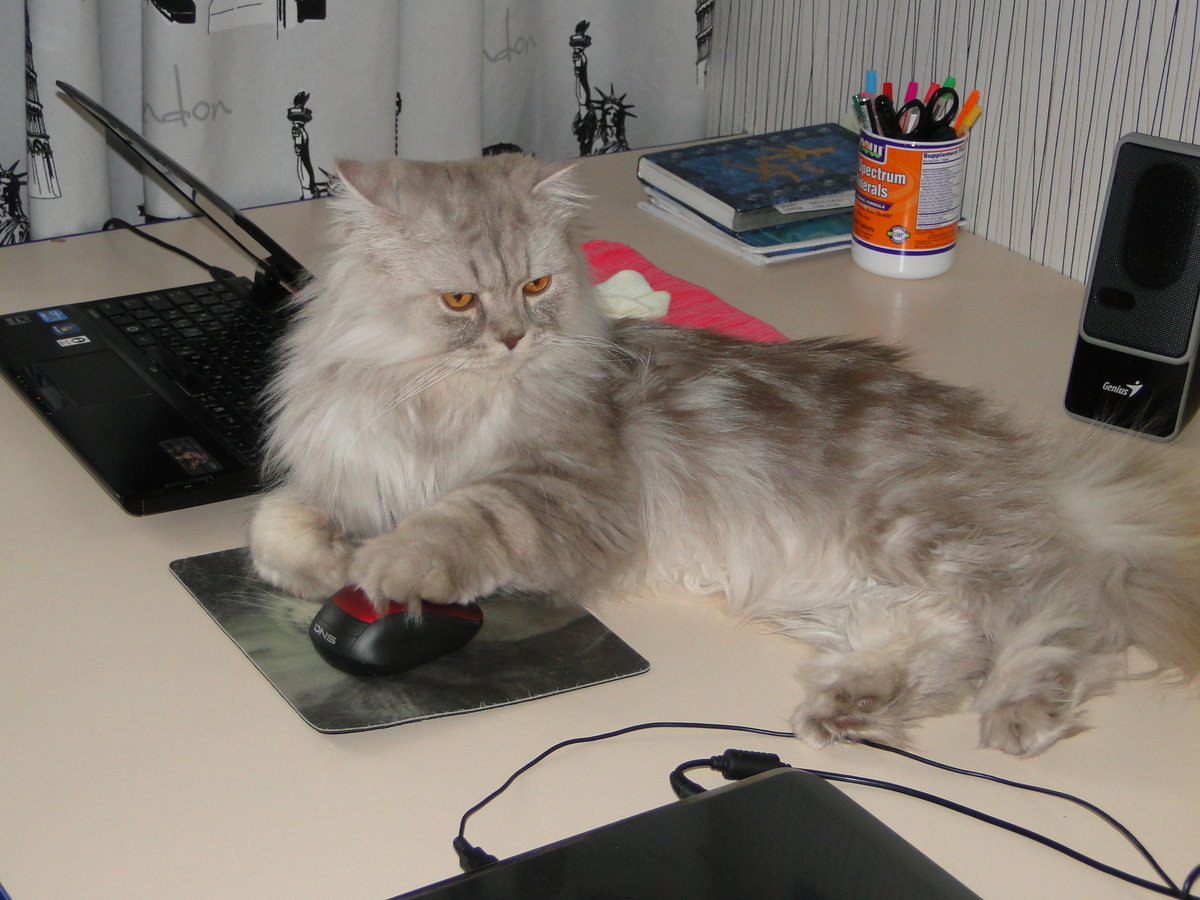 Фото из личного архива