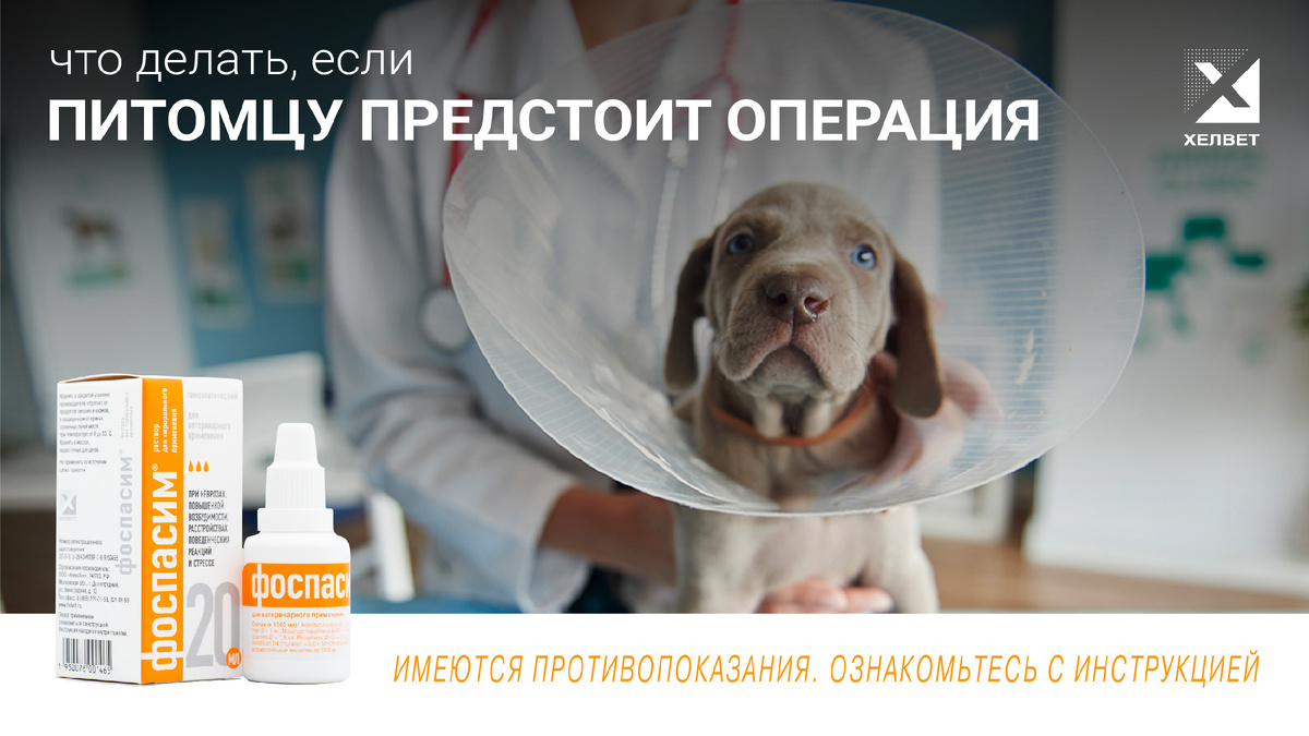 Изображение от gpointstudio на Freepik